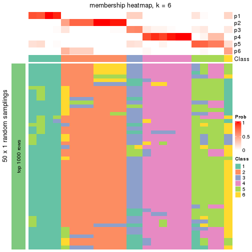 plot of chunk tab-node-022-membership-heatmap-5