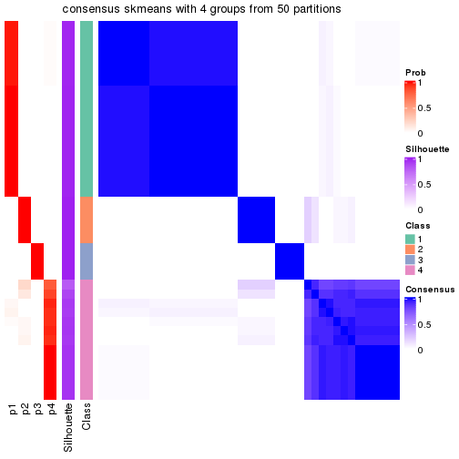 plot of chunk tab-node-03-consensus-heatmap-3