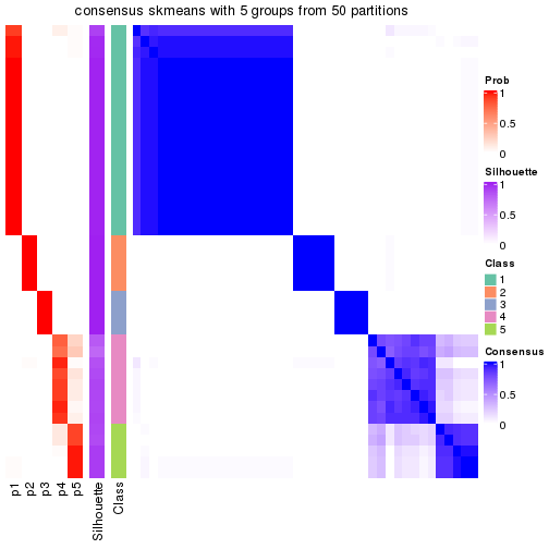 plot of chunk tab-node-03-consensus-heatmap-4