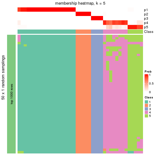 plot of chunk tab-node-03-membership-heatmap-4