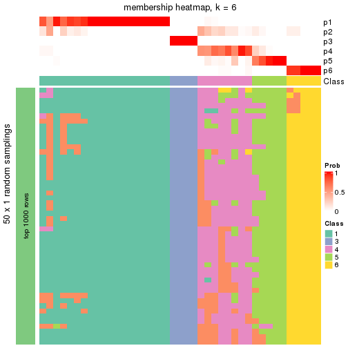 plot of chunk tab-node-03-membership-heatmap-5