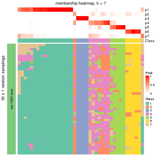 plot of chunk tab-node-03-membership-heatmap-6