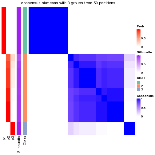 plot of chunk tab-node-031-consensus-heatmap-2