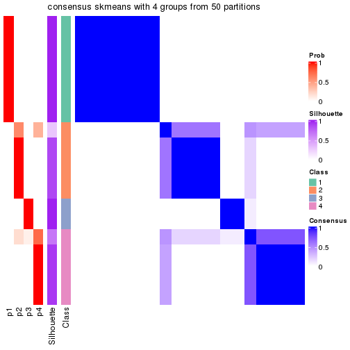 plot of chunk tab-node-031-consensus-heatmap-3