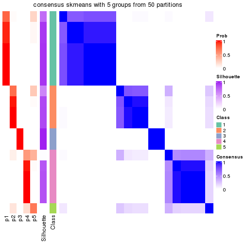 plot of chunk tab-node-031-consensus-heatmap-4