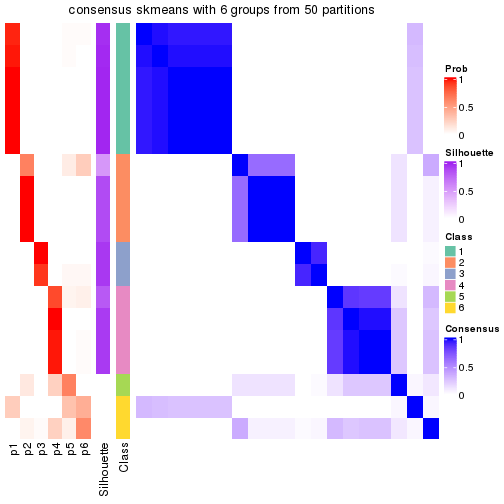 plot of chunk tab-node-031-consensus-heatmap-5