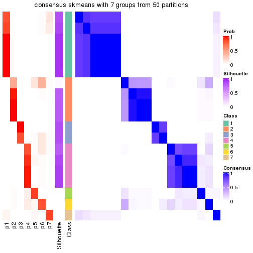 plot of chunk tab-node-031-consensus-heatmap-6