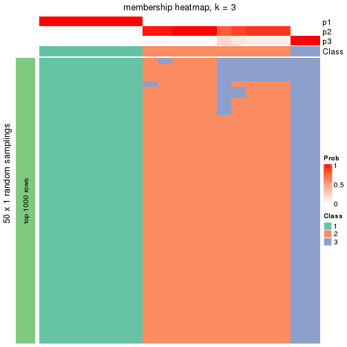 plot of chunk tab-node-031-membership-heatmap-2