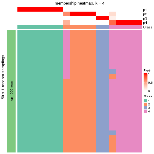 plot of chunk tab-node-031-membership-heatmap-3