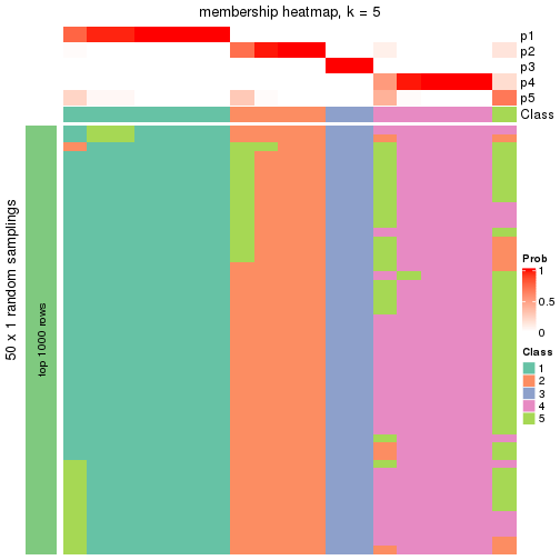 plot of chunk tab-node-031-membership-heatmap-4