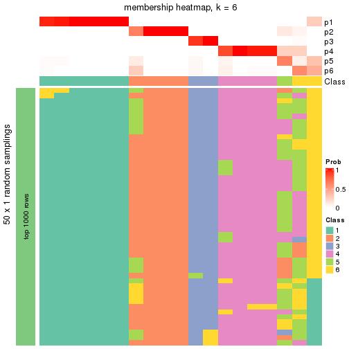 plot of chunk tab-node-031-membership-heatmap-5