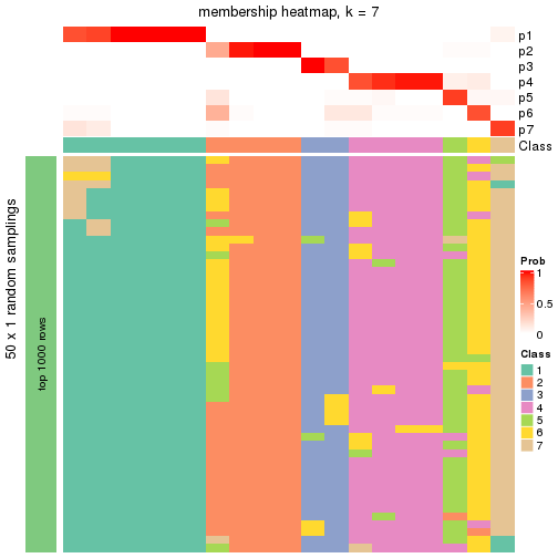 plot of chunk tab-node-031-membership-heatmap-6