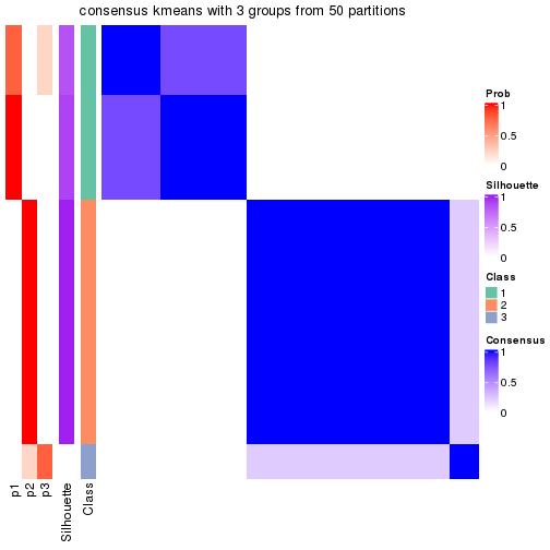 plot of chunk tab-node-034-consensus-heatmap-2