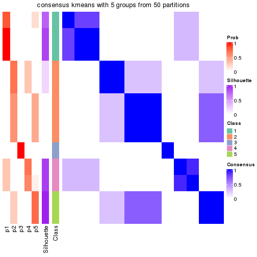 plot of chunk tab-node-034-consensus-heatmap-4