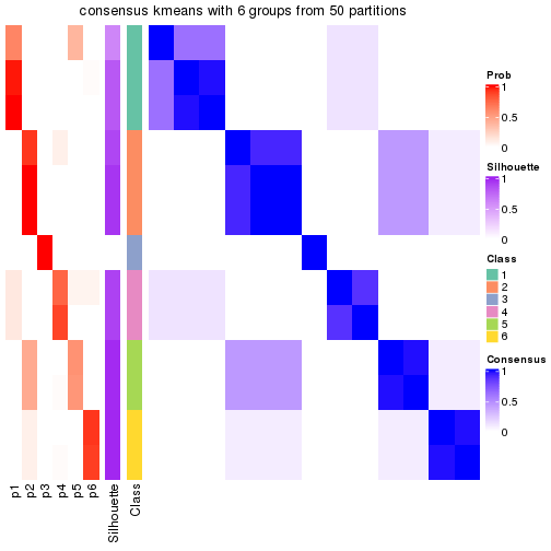 plot of chunk tab-node-034-consensus-heatmap-5