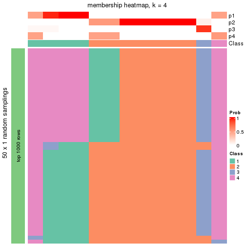 plot of chunk tab-node-034-membership-heatmap-3