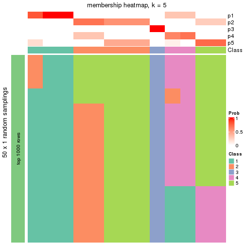 plot of chunk tab-node-034-membership-heatmap-4