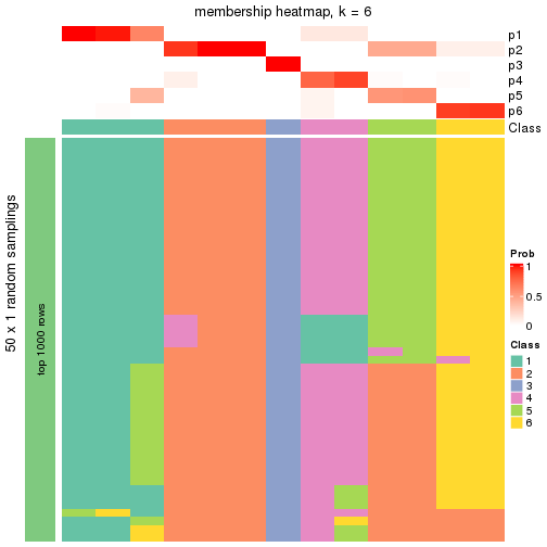 plot of chunk tab-node-034-membership-heatmap-5