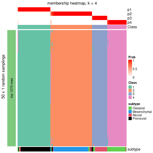 plot of chunk tab-node-0-membership-heatmap-3