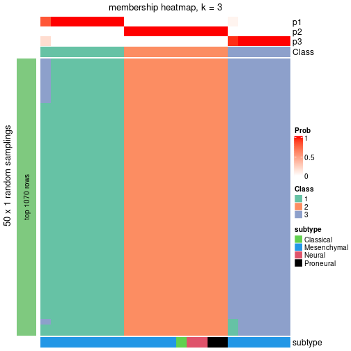 plot of chunk tab-node-022-membership-heatmap-2