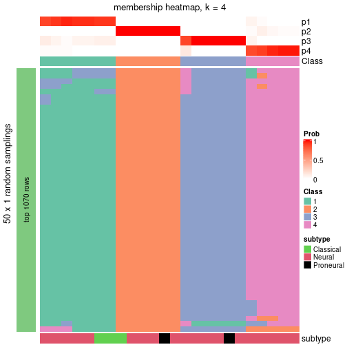 plot of chunk tab-node-03-membership-heatmap-3