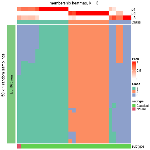 plot of chunk tab-node-04-membership-heatmap-2