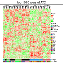 plot of chunk top-rows-heatmap