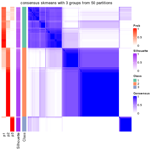 plot of chunk tab-node-0-consensus-heatmap-2