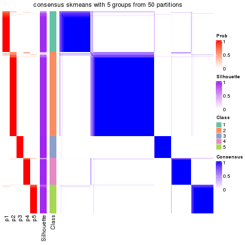 plot of chunk tab-node-0-consensus-heatmap-4