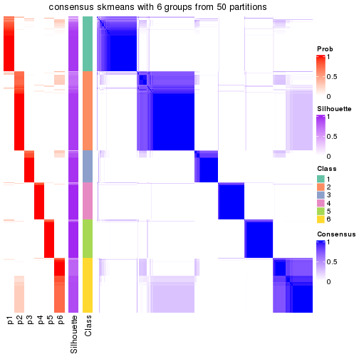 plot of chunk tab-node-0-consensus-heatmap-5