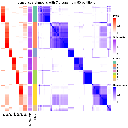 plot of chunk tab-node-0-consensus-heatmap-6