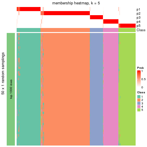 plot of chunk tab-node-0-membership-heatmap-4