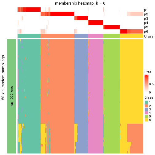 plot of chunk tab-node-0-membership-heatmap-5