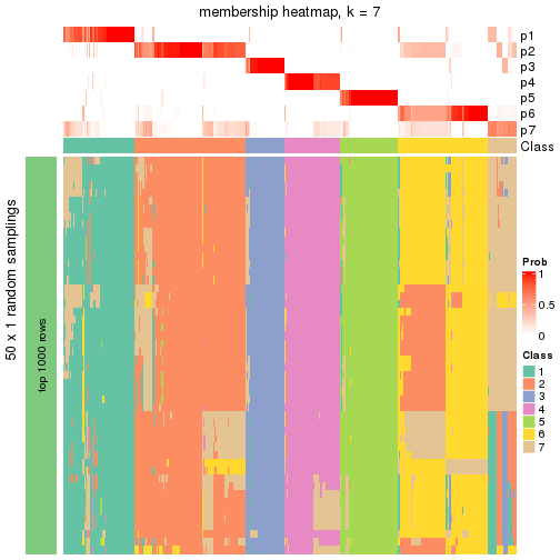 plot of chunk tab-node-0-membership-heatmap-6