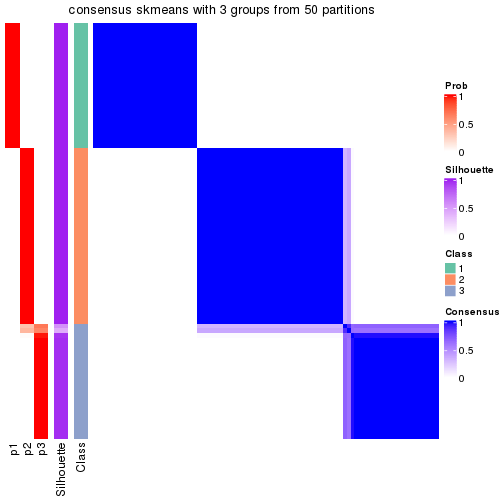 plot of chunk tab-node-01-consensus-heatmap-2