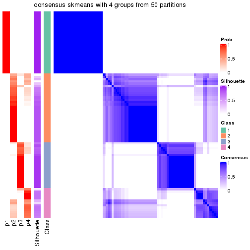 plot of chunk tab-node-01-consensus-heatmap-3