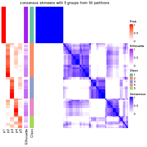 plot of chunk tab-node-01-consensus-heatmap-4