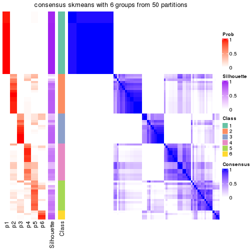 plot of chunk tab-node-01-consensus-heatmap-5