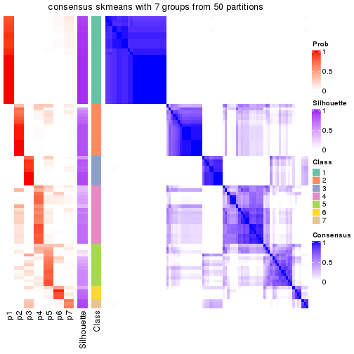 plot of chunk tab-node-01-consensus-heatmap-6