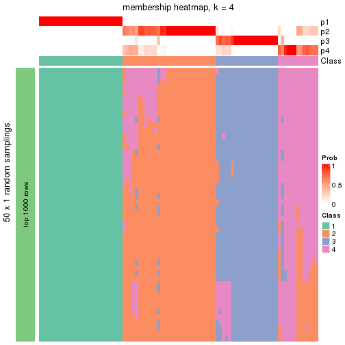 plot of chunk tab-node-01-membership-heatmap-3