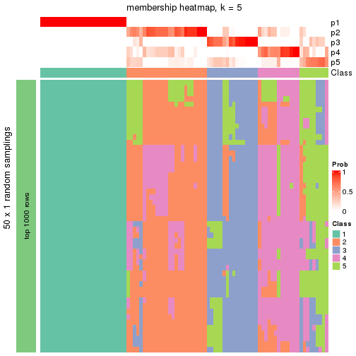 plot of chunk tab-node-01-membership-heatmap-4