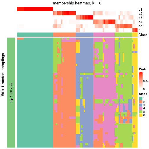 plot of chunk tab-node-01-membership-heatmap-5