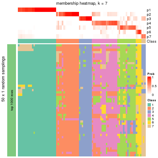 plot of chunk tab-node-01-membership-heatmap-6