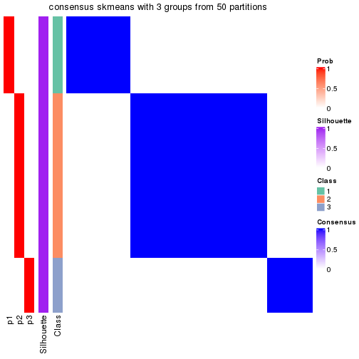 plot of chunk tab-node-011-consensus-heatmap-2