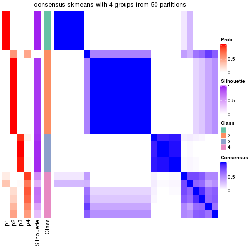 plot of chunk tab-node-011-consensus-heatmap-3