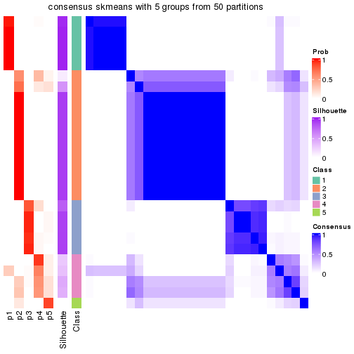 plot of chunk tab-node-011-consensus-heatmap-4