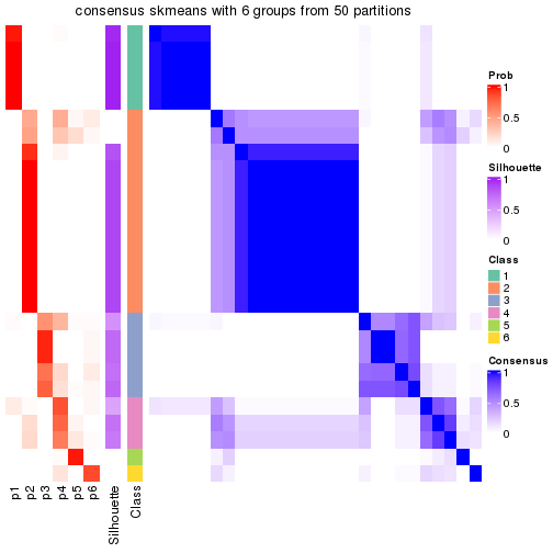 plot of chunk tab-node-011-consensus-heatmap-5