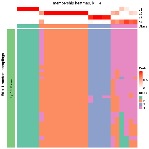 plot of chunk tab-node-011-membership-heatmap-3