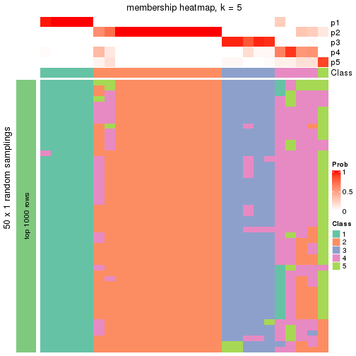 plot of chunk tab-node-011-membership-heatmap-4