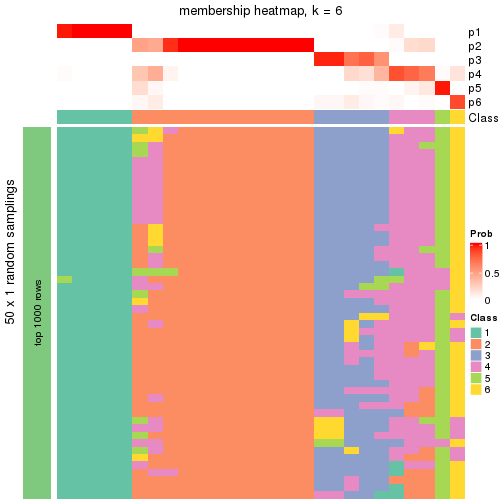 plot of chunk tab-node-011-membership-heatmap-5